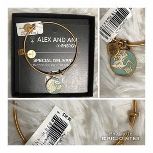 Alex & Ani Stork Boy Bracelet